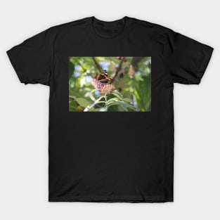 Red Admiral T-Shirt